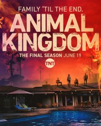 Vương quốc động vật (Phần 6) | Animal Kingdom (Season 6) (2022)